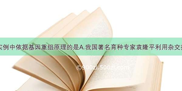 多选题下列实例中依据基因重组原理的是A.我国著名育种专家袁隆平利用杂交技术培育出超