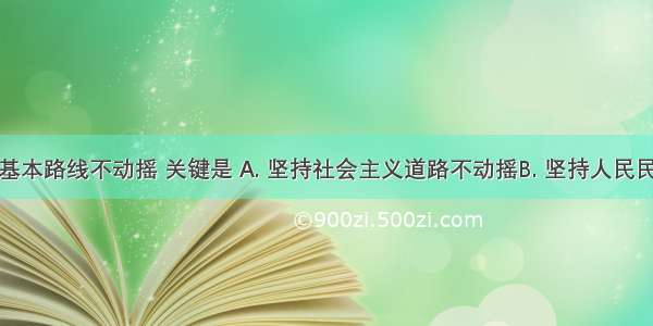 坚持党的基本路线不动摇 关键是 A. 坚持社会主义道路不动摇B. 坚持人民民主专政不