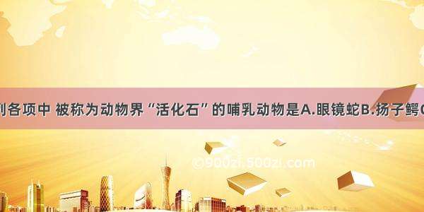 单选题下列各项中 被称为动物界“活化石”的哺乳动物是A.眼镜蛇B.扬子鳄C.大熊猫D.