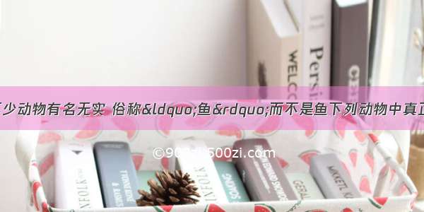 在日常生活中 有不少动物有名无实 俗称“鱼”而不是鱼下列动物中真正属于鱼类的是AA