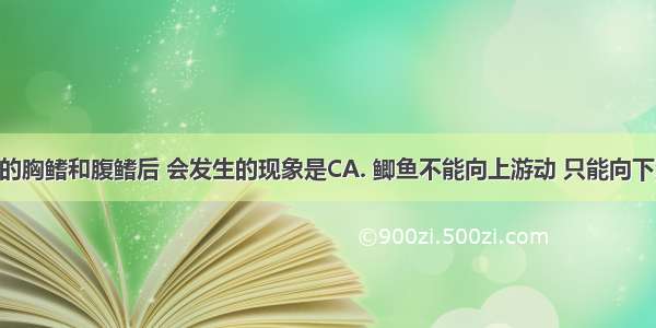 剪掉鲫鱼的胸鳍和腹鳍后 会发生的现象是CA. 鲫鱼不能向上游动 只能向下沉B. 鲫鱼