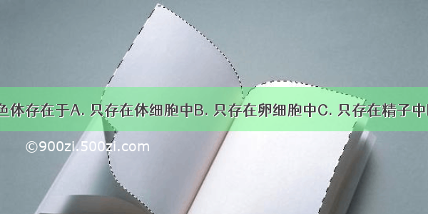 人的性染色体存在于A. 只存在体细胞中B. 只存在卵细胞中C. 只存在精子中D. 存在于