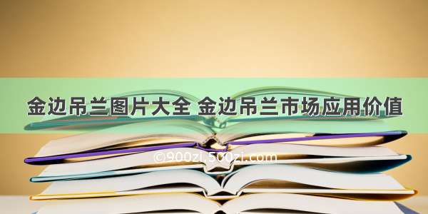 金边吊兰图片大全 金边吊兰市场应用价值