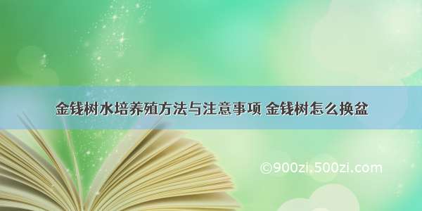 金钱树水培养殖方法与注意事项 金钱树怎么换盆