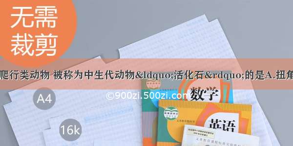 下列属于我国珍稀爬行类动物 被称为中生代动物“活化石”的是A.扭角羚　B.白鳍豚C.大