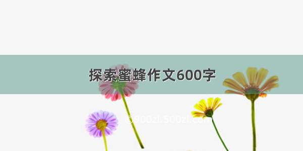 探索蜜蜂作文600字