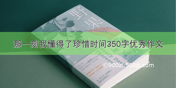 那一刻我懂得了珍惜时间350字优秀作文