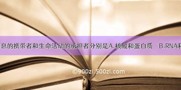 生物体遗传信息的携带者和生命活动的承担者分别是A.核酸和蛋白质　　B.RNA和脂质C.DNA