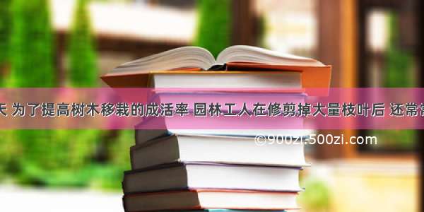 单选题春天 为了提高树木移栽的成活率 园林工人在修剪掉大量枝叶后 还常常在树干上