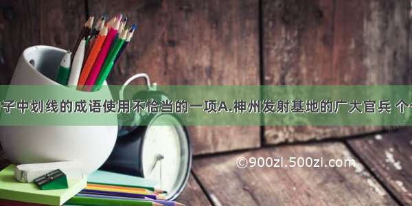 选出下列句子中划线的成语使用不恰当的一项A.神州发射基地的广大官兵 个个身怀绝技 