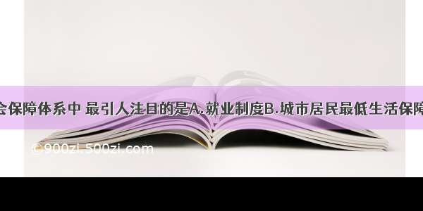 单选题在社会保障体系中 最引人注目的是A.就业制度B.城市居民最低生活保障制度C.医疗